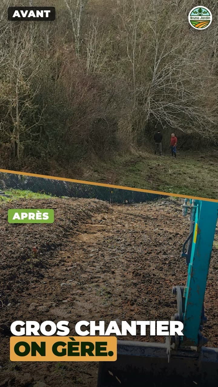 Terrain avant et après remise en état par Bruno Jardin, paysagiste dans les Landes